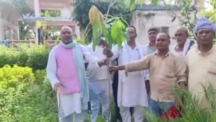 बिहिया: पूर्व विधायक भाई दिनेश ने महथीन माई मंदिर में पूजा अर्चना कर पौधारोपण की शुरुआत की