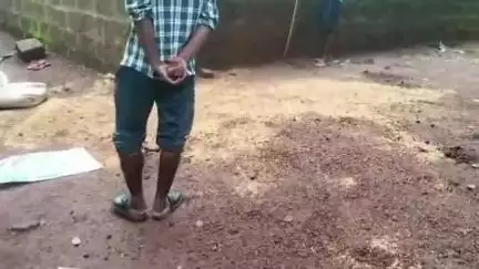 ତେଲକୋଇ: ତେଲକୋଇରେଞ୍ଜ କାଳିଆହତା ସେକ୍ସନ ରେକୁଟି ଗାଁରେ
ହାତୀ ଭାଙ୍ଗିଲେ ଘର ଖାଇଲେ ଧାନ, ଚାଉଳ
