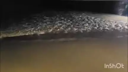 विजयपुर: लगातार हो रही बारिश से बढ़ा कुंवारी नदी का जलस्तर, विजयपुर में डूबा निचला पुल