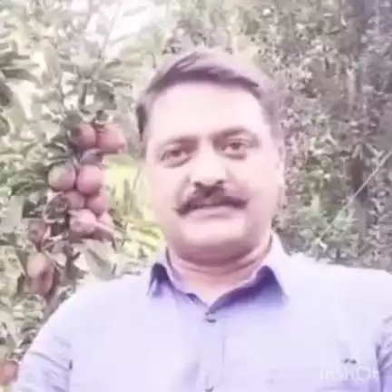 कोटखाई: कोटखाई नावर भाजपा के महामंत्री अंकुश चौहान ने कहा, किसानों को उनके पैसे फसल बिकने के बाद उसी दिन मिल जाने चाहिए