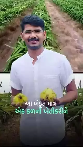 ડ્રેગન ફ્રુટની ખેતી કરી કમાયા 2 કરોડ રૂપિયા | Farming | Dragon Fruit | Farming Success Story