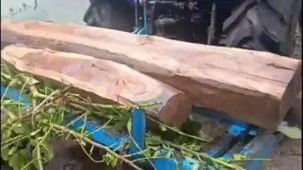 सिलवानी: सिलवानी में वन विभाग की बड़ी कार्रवाई, सागौन का अवैध परिवहन करते हुए ट्रैक्टर पकड़ा गया