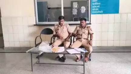 टेहरोली: पिपरा में सांप के काटने से एक किसान की मौत, परिजनों में मचा कोहराम