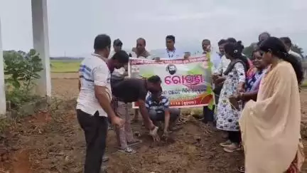 ପାରଳାଖେମୁଣ୍ଡି: ଗୁରାଣ୍ଡି ଗ୍ରାମରେ ସମାଜ ଓ ଗୁରାଣ୍ଡି ଗ୍ରାମ ପଞ୍ଚାୟତର ମିଳିତ ଆନୁକୁଲ୍ୟରେ ବୃକ୍ଷ ରୋପଣ କାର୍ଯ୍ୟକ୍ରମ ଅନୁଷ୍ଠିତ