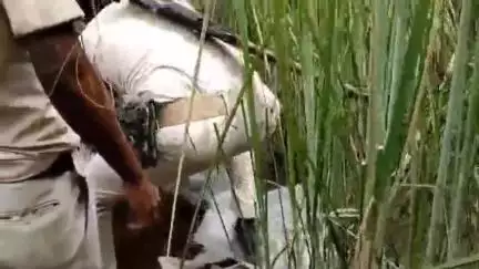 मोतिहारी: मोतिहारी जिला अंतर्गत ALTF टीम ने विभिन्न थाना क्षेत्रों से 87 लीटर देसी शराब किया बरामद