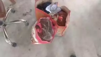 विभूतिपुर: विभूतिपुर पुलिस की बड़ी कार्रवाई: 8.5 किलो गांजा बरामद, दो तस्कर गिरफ्तार, न्यायिक हिरासत में भेजे गए
