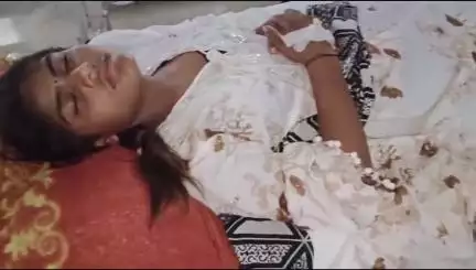 छोटी सरवन: मोहकमपुरा गांव में जमीन विवाद को लेकर दबंगों ने युवती के साथ की मारपीट, एमजी अस्पताल में उपचार जारी