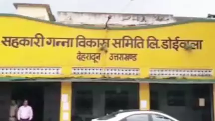 डोईवाला: डोईवाला गन्ना विकास समिति की चार सीटों पर शुक्रवार को शांतिपूर्ण मतदान हुआ