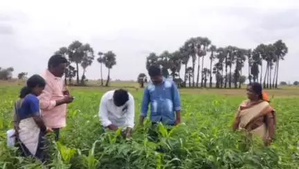 రోల్లపాడు గ్రామంలో పకృతి వ్యవసాయంపై రైతులకు అవగాహన