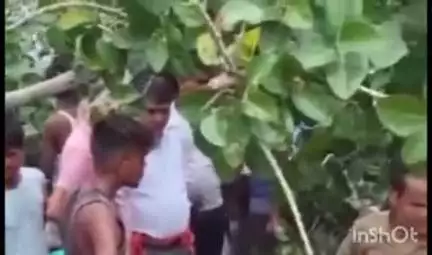 टिकारी: टिकारी कॉलेज मोड में बरगद का पेड़ गिरने से 2 बाइक सवारों की मौत, 2 गंभीर घायल