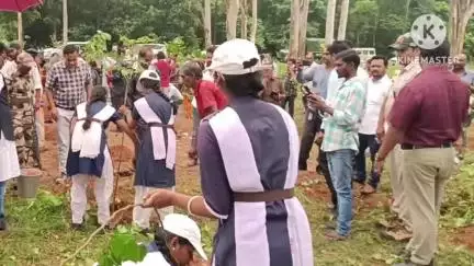 ବାଲିଗୁଡା: |

ଲଣ୍ଡାଗାଁର ବାବେଜେରୁ ଜଙ୍ଗଲରେ ବନମହୋତ୍ସବ ସପ୍ତାହ ପାଳିତ,

ଶୁକ୍ରବାର ଦିନ 12ଘଣ୍ଟିକା ରେ ଏହି କାଯ୍ୟକ୍ରମ ଅନୁଷ୍ଠି