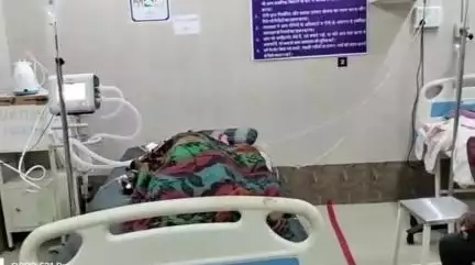 मनासा: ग्राम रापड़ा में सो रही 8 माह की गर्भवती महिला को सांप ने डसा, अस्पताल में उपचार जारी, हालत गंभीर