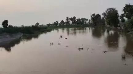 टिब्बी: घग्घर नदी में पानी शुरू, किसानों के चेहरे खिले, प्रशासन अलर्ट मोड़ पर