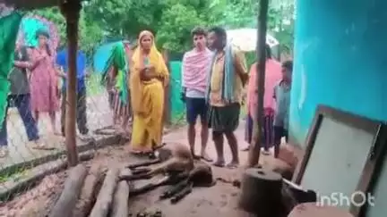ମାଲକାନଗିରି: ମାଲକାନଗିରି ଜିଲ୍ଲା କୁମାରପୁଟ ଗ୍ରାମରେ ୬ଟି ଛେଳିଙ୍କ ଜୀବନ ନେଇଥିବା ବେଳେ ଅଞ୍ଚଳରେ ଭୟର ବାତାବରଣ ଖେଳି ଯାଇଛି
