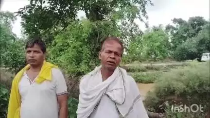 पीरो: कटेया रजवाहा पर कटाव के कारण किसानों को आने-जाने और सिंचाई में हो रही समस्या
