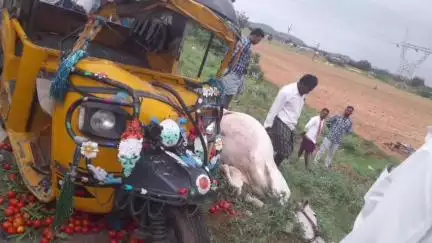 ఉడుములపాడు గ్రామం వద్ద ఎద్దుల బండిని ఢీకొట్టిన ఆటో ..ఎద్దు మృతి, నలుగురికి గాయాలు