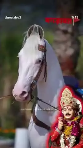 shree dev.  seesola dham