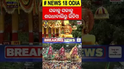 ସକାଳୁ ସକାଳୁ ଶରଧାବାଲିରୁ | Bahuda Yatra | Jay Jagannath |Puri Rath Yatra 2025 |বহুদা যাত্রা 2025