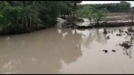 मऊरानीपुर: सिजारी खुर्द में नाले पर कब्जा होने से घरों में घुसा बारिश का पानी, गांव में बाढ़ जैसे हालात