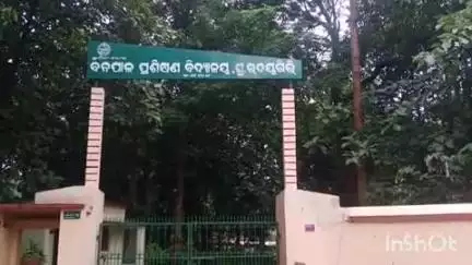 ଜି ଉଦୟଗିରି: ଜି ଉଦୟଗିରି ବନ ବିଭାଗ ପ୍ରଶିକ୍ଷଣ ବିଦ୍ୟାଳୟ ରେ  ହାତୀ ପଶିବା ପରେ ଡିସିଫ ବନ ବିଭାଗ କୁ କଲେ ସୂଚନ