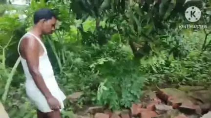 আড়শা: রাতের অন্ধকারে ঘাটিয়ালি গ্রামে বাউন্ডারির দেওয়ালল ও গাছ ভাঙল হাতি