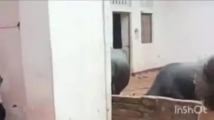 बिंदकी: जलाला गांव में अपने मायके में रह रही महिला का शव संदिग्ध अवस्था में कमरे के अंदर खूंटी के सहारे लटका मिला