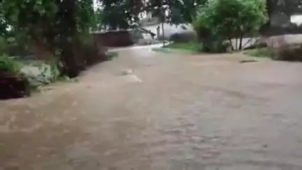 करकेली: करकेली के जरहा स्थित घोरमरा गांव में भारी बारिश से जलभराव, नौरोजाबाद पुलिस कर रही निगरानी
