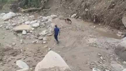 मंडी: जिला मंडी के करसोग के आपदाग्रस्त क्षेत्रों में एनडीआरएफ का रेस्क्यू मिशन जारी, खोजी कुत्तों की मदद ली जा रही है