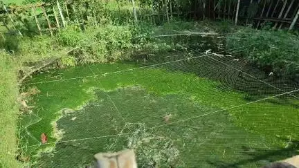 उद्यायनिकी फसलों के बारे में किसानों से चर्चा। पंचायत- डिहरा,ग्राम-डिहरा।@atma.kaimur