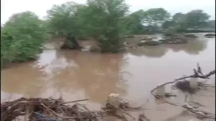 सिंगोली: ब्राह्मणी नदी में बाढ़ से बंदे की पुल पर जमा मलबा, पटियाल मार्ग अवरुद्ध