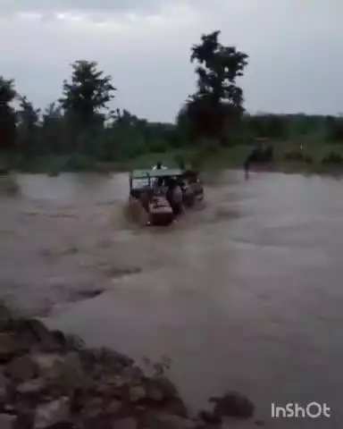 कोलारस: लुकवासा से राजस्थान बॉर्डर तक मौत से जूझते ग्रामीण, करई नदी पर पुल बनाना भूले ज़िम्मेदार