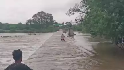 भांडेर: दतिया जिले में भारी बारिश से भांडेर की पहूज नदी में आया उफान, लोग जान जोखिम में डालकर नदी पार कर रहे