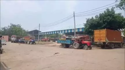 पलवल: पलवल अनाज मंडी में मूंग की खरीद सुचारू रूप से जारी, अब तक 22 हजार 592 क्विंटल मूंग खरीदा गया
