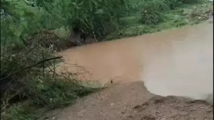 नैनवां: अत्यधिक बारिश के चलते कल्याण खेड़ी गांव में दो भैंसों की बहने से हुई मौत, घर में रखा सामान भीगा, पुलिया हुई क्षतिग्रस्त