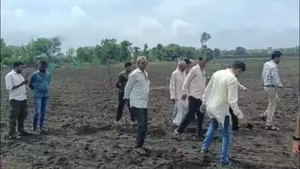 जावरा: राज्य बीज निगम बन्ना खेड़ा जावरा से लाए गए सोयाबीन बीज का क़रीब 15% ही हुआ अंकुरित, रिंगनोद निवासी किसान को हुआ नुक़सान