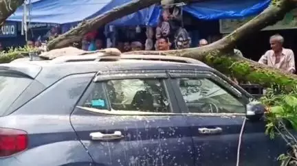ডুমডুমা: ডুমডুমা টাউন ফিল্ডৰ সন্মুখত ৰখাই থোৱা বাহনৰ ওপৰত উঘালী পৰিল এডাল প্ৰকাণ্ড গছ