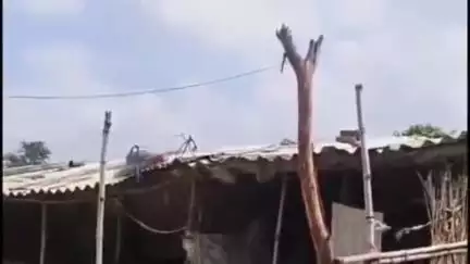 कादीपुर: चौरे गांव में रात में विश्राम करने के लिए एक घर में रूकी 65 वर्षीय महिला की हुई मौत, जांच में जुटी पुलिस