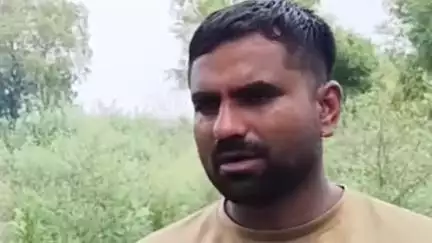 पलवल: जल्हाका गांव में 70 साल पुराने पेड़ काटने पर ग्रामीणों ने किया विरोध