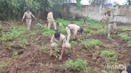 हरसूद: पुलिस थाना हरसूद में पुलिस जवानों ने 35 फलदार पौधों का किया रोपण