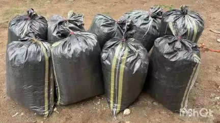प्रतापगढ़: नारकोटिक्स विभाग की 2 बड़ी कार्रवाई, डोडाचूरा अफीम की तस्करी नाकाम, 168 किलो डोडाचूरा और 1 किलो अफीम ज़ब्त