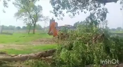 रॉबर्ट्सगंज: रामगढ़ के कंपोजिट विद्यालय में काटे गए दर्जन भर हरे पेड़, वन विभाग और पुलिस ने शुरू की जांच