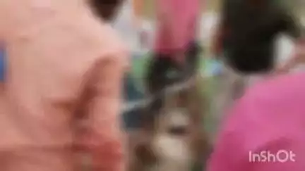 वाशिम: जीवाच्या भितीने जनावराने घेतला मनुष्या कडे धाव पंचशील नगर येथे शेतात रुहीच्या पिल्याला मोकाट कुत्र्याने जखमी गेले