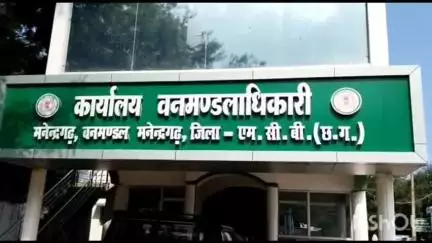 मनेन्द्रगढ़ वन मंडल क्षेत्र में अवैध कटाई और तस्करी की जांच की मांग, पूर्व विधायक गुलाब कमरों ने उठाई