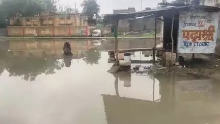 जौरा: जौरा शहर में लगातार बारिश से शासकीय दफ्तरों के सामने जलभराव, वीडियो आया सामने