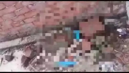 महाराजगंज: सुदौली में गाय की बछिया के साथ दुष्कर्म की घटना का वीडियो वायरल, लोगों ने की कड़ी निंदा