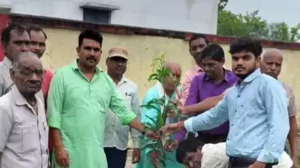 चांपा: बिर्रा में पौधारोपण कर लिया सुरक्षा का संकल्प, जनपद सदस्य, सरपंच प्रतिनिधि, पंच सहित अन्य लोग रहे मौजूद