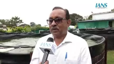 📍रांची, झारखंड:
प्रधानमंत्री मत्स्य संपदा योजना (PMMSY) के तहत झारखंड में मछली पालक सफलतापूर्वक बायोफ्लॉक तकनीक को अपना रहे हैं।