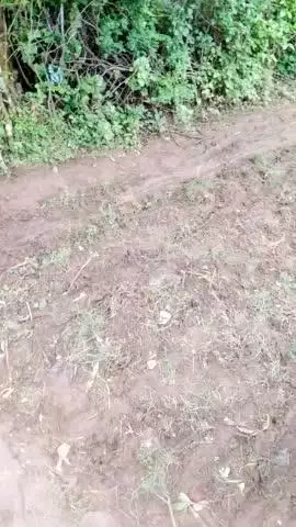 jakhora Lalitpur Uttar Pradesh