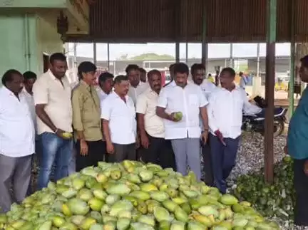 మొద్దు నిద్రలేచి మామిడి రైతులని ఆదుకోండి: మాజీ శాసనసభ్యులు కొరముట్ల శ్రీనివాసులు