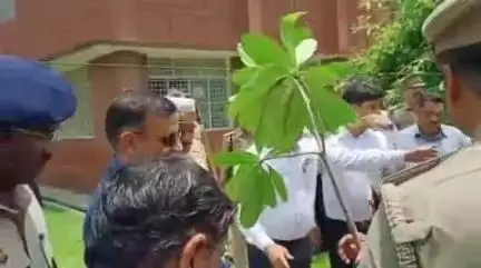 हमीरपुर: मौदहा तहसील में सम्पूर्ण समाधान दिवस के साथ मंडलायुक्त और DIG ने किया वृक्षारोपण